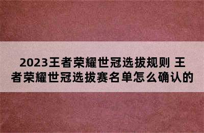 2023王者荣耀世冠选拔规则 王者荣耀世冠选拔赛名单怎么确认的